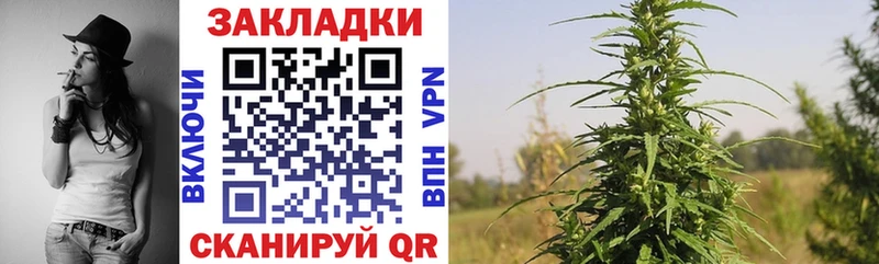 Где купить Новый Уренгой МАРИХУАНА ОМГ ОМГ как войти Cocaine Alpha PVP ГАШ МЕФ