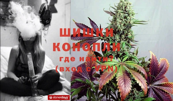 прущие грибы Балахна