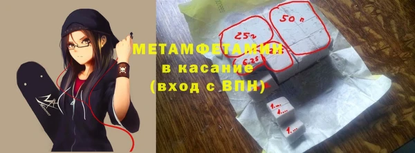прущие грибы Балахна