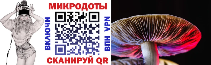 Псилоцибиновые грибы мицелий  Новый Уренгой 